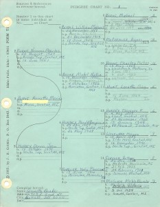 This is the first Pedigree Chart I filled out when we started our research.